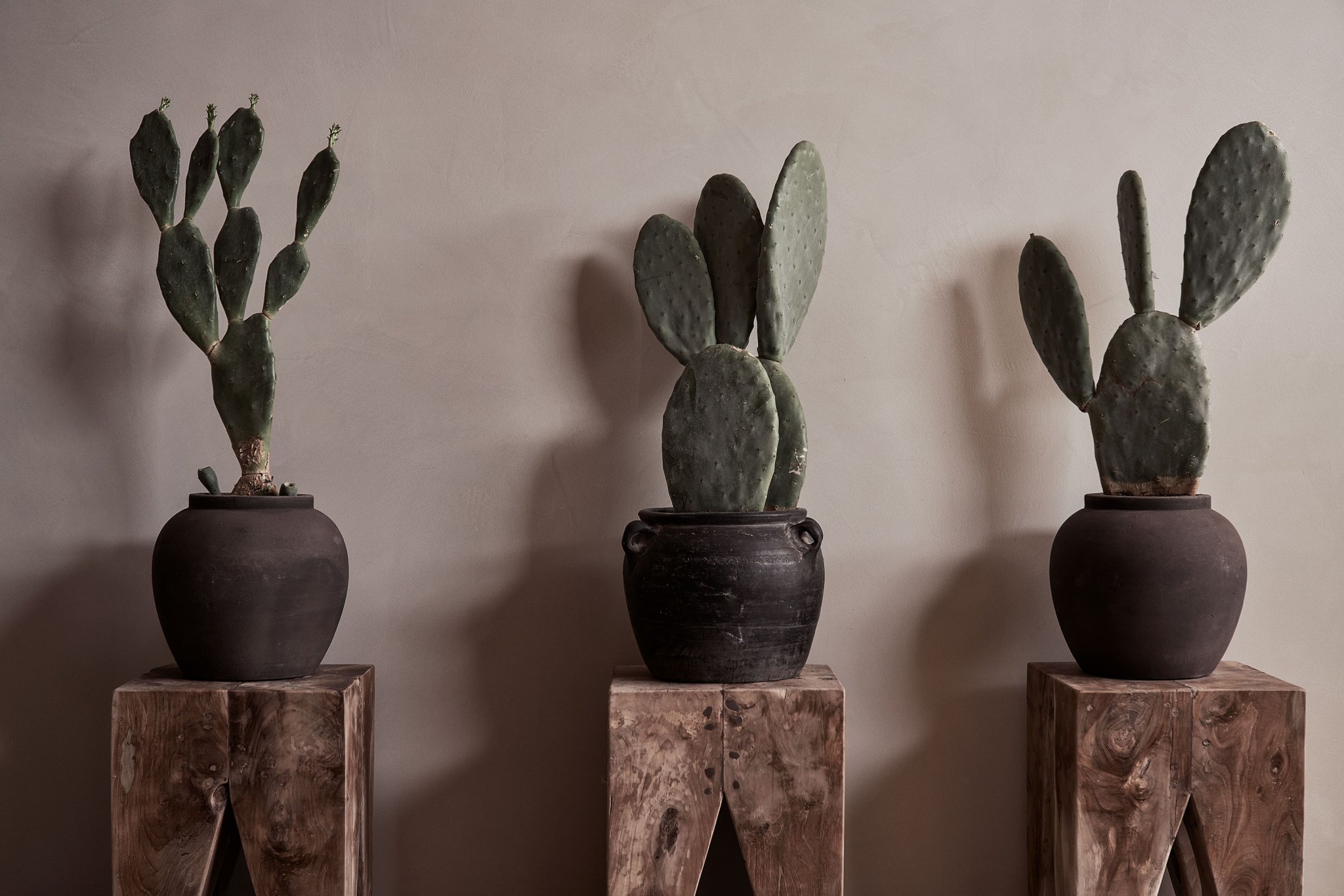 Mykonos Habitat 酒店丨Vasilis Papadias design studio-23