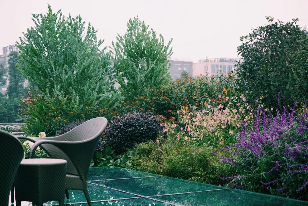 空中花园的粉紫色浪漫 | 乐梵造园的秋韵花境改造-30