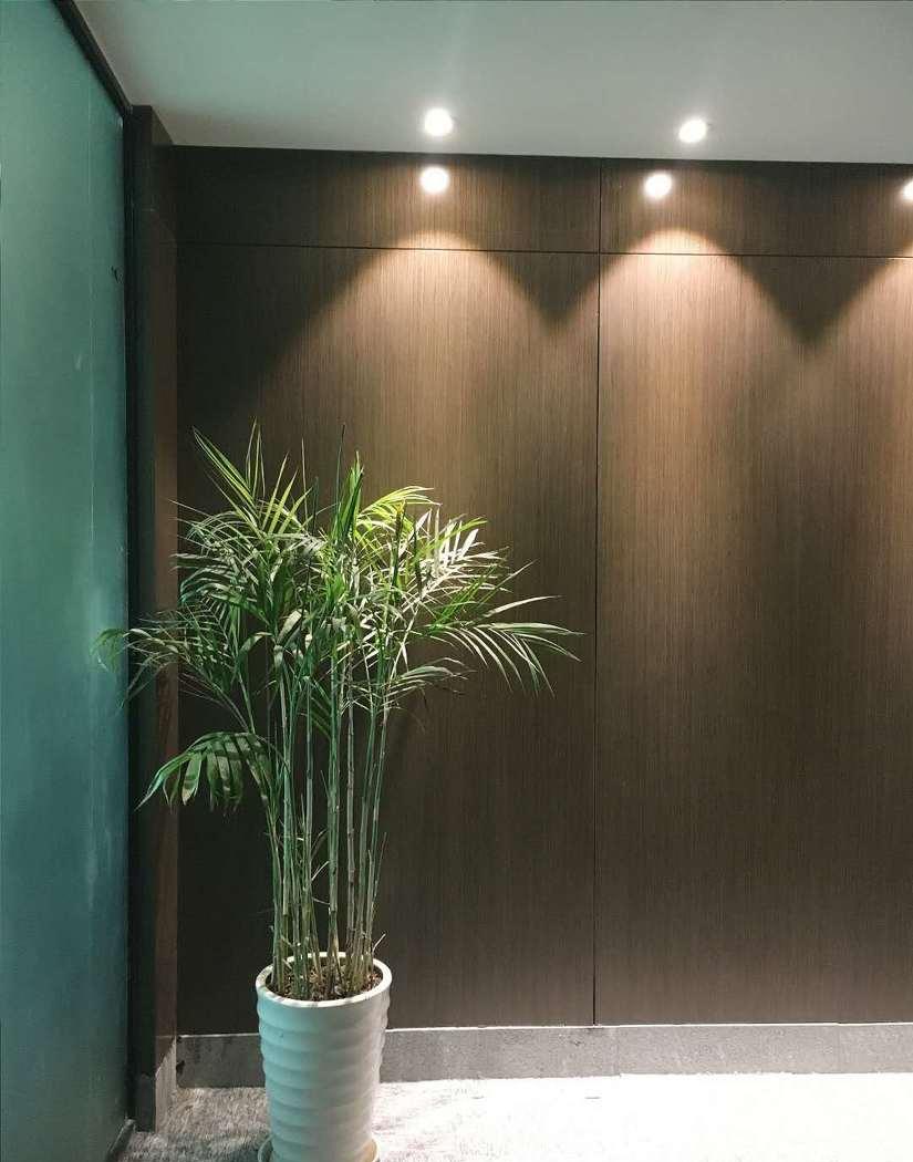 
力天营筑（现代风办公室） -2