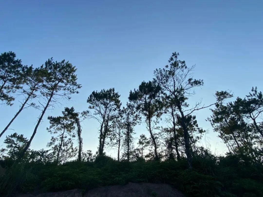 夏日邂逅,自然之美 · 露营野炊体验设计丨中国惠州丨土禾空间设计事务所-0