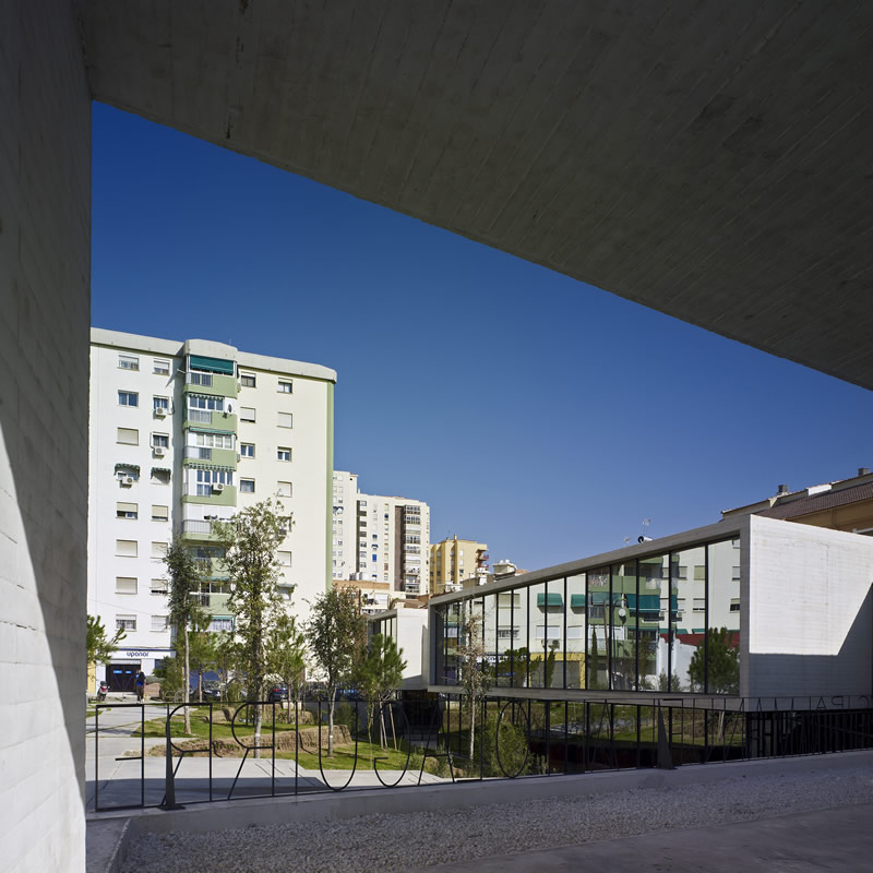 曼努埃尔·阿尔托拉吉雷图书馆-2