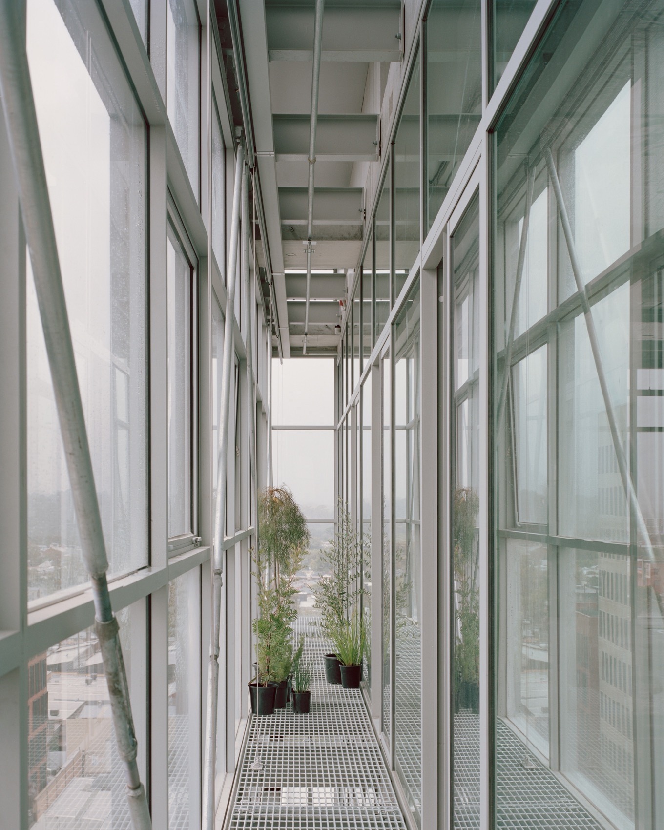 Rokeby 街 11 号丨澳大利亚墨尔本丨Carr 事务所-36