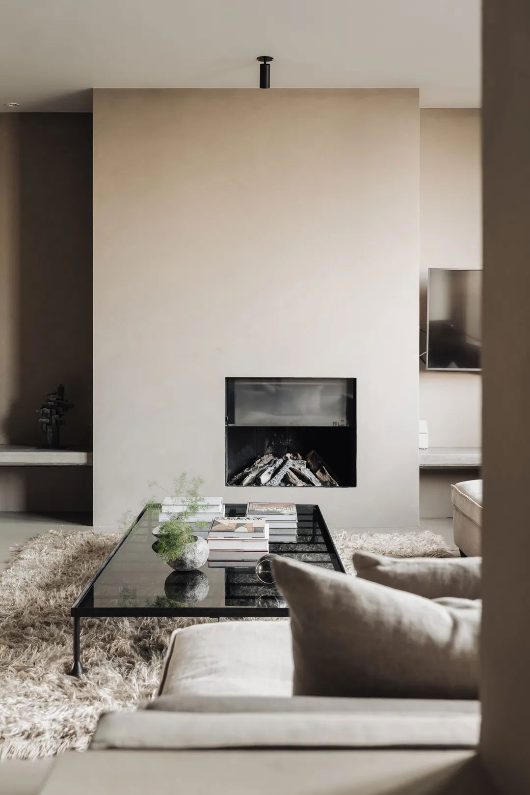 阿姆斯特丹运河公寓的自然极简设计-9