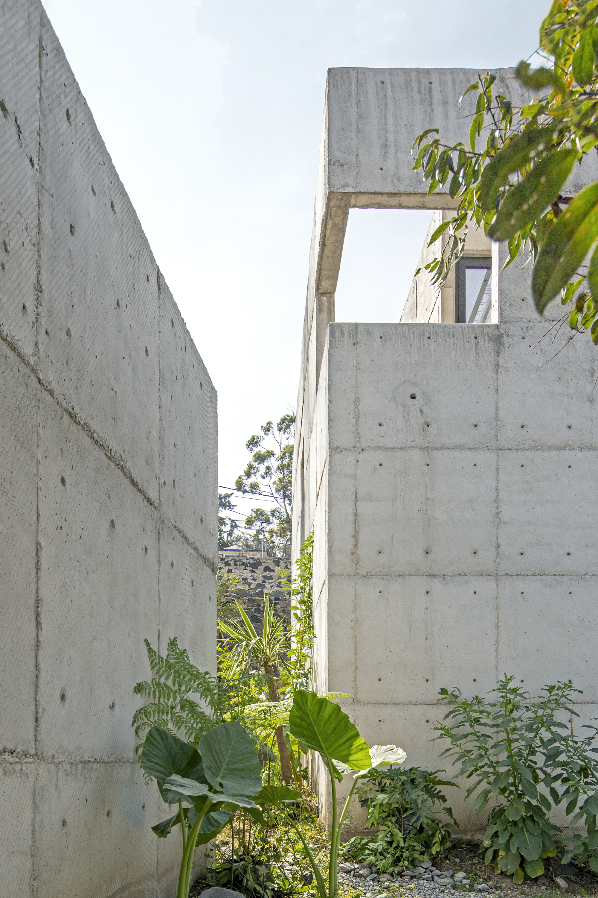 Colibrí House / ViGa Arquitectos-32