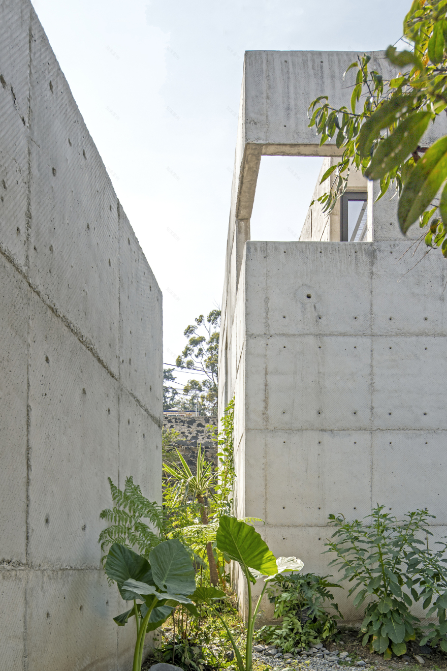 Colibrí House / ViGa Arquitectos-32