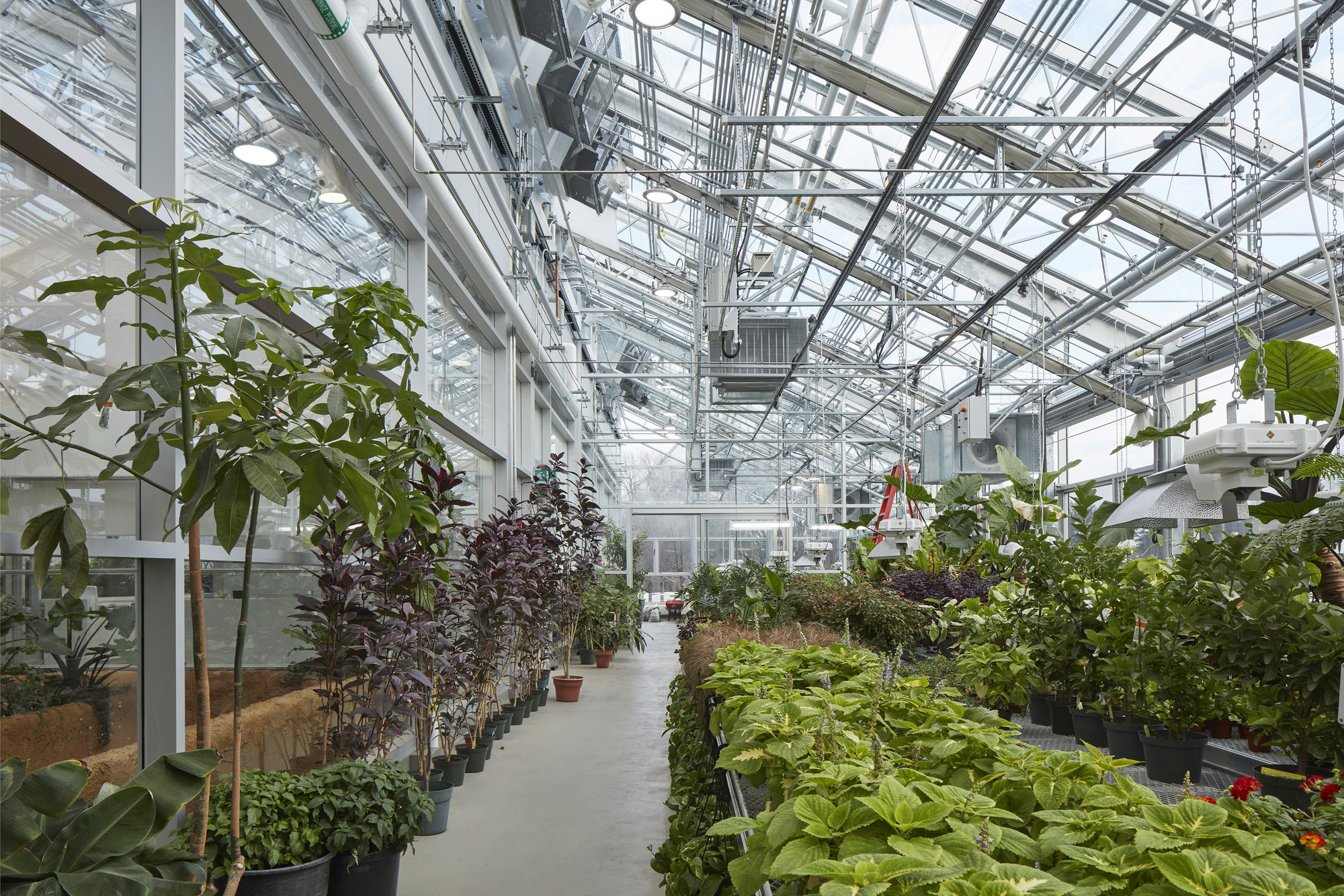 蒙特利尔昆虫馆丨加拿大蒙特利尔-5