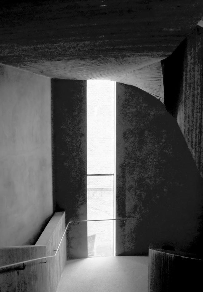 “老虎与乌龟”丨德国丨德国艺术家乌尔里希·根茨和海克·穆特-39