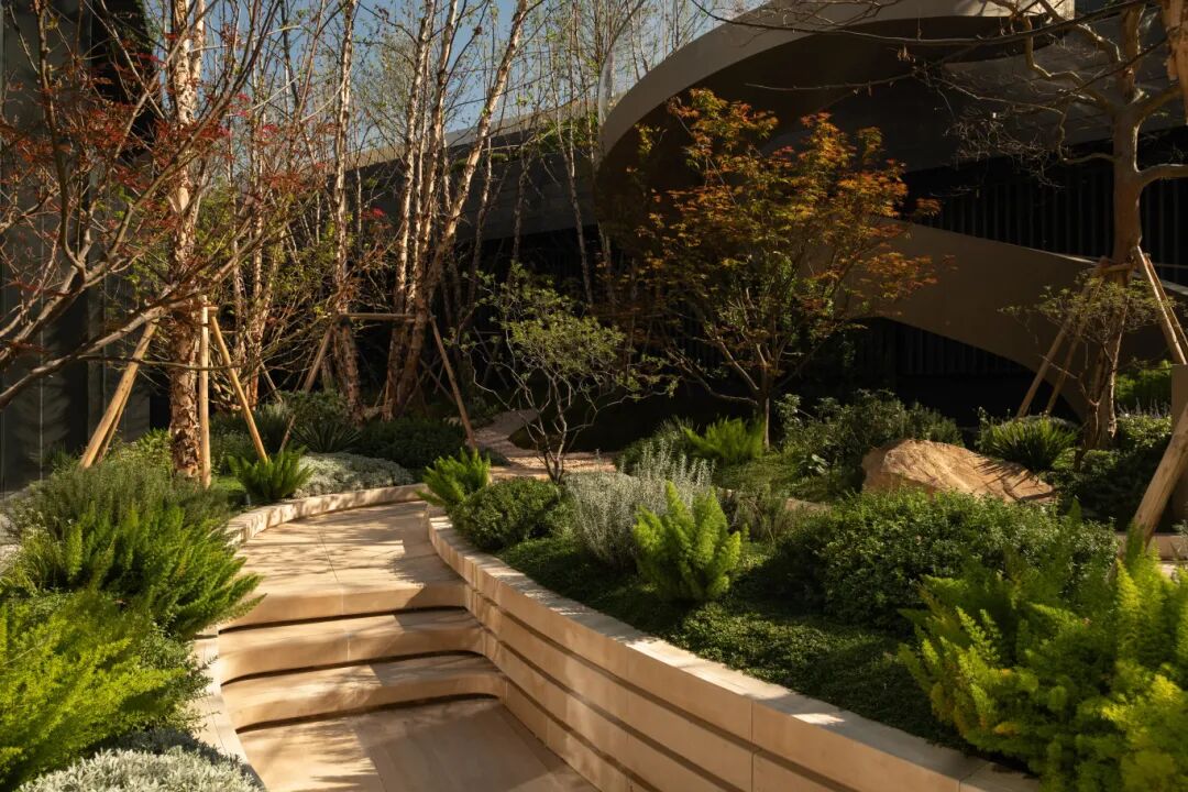 星合·晋墅丨中国苏州-49