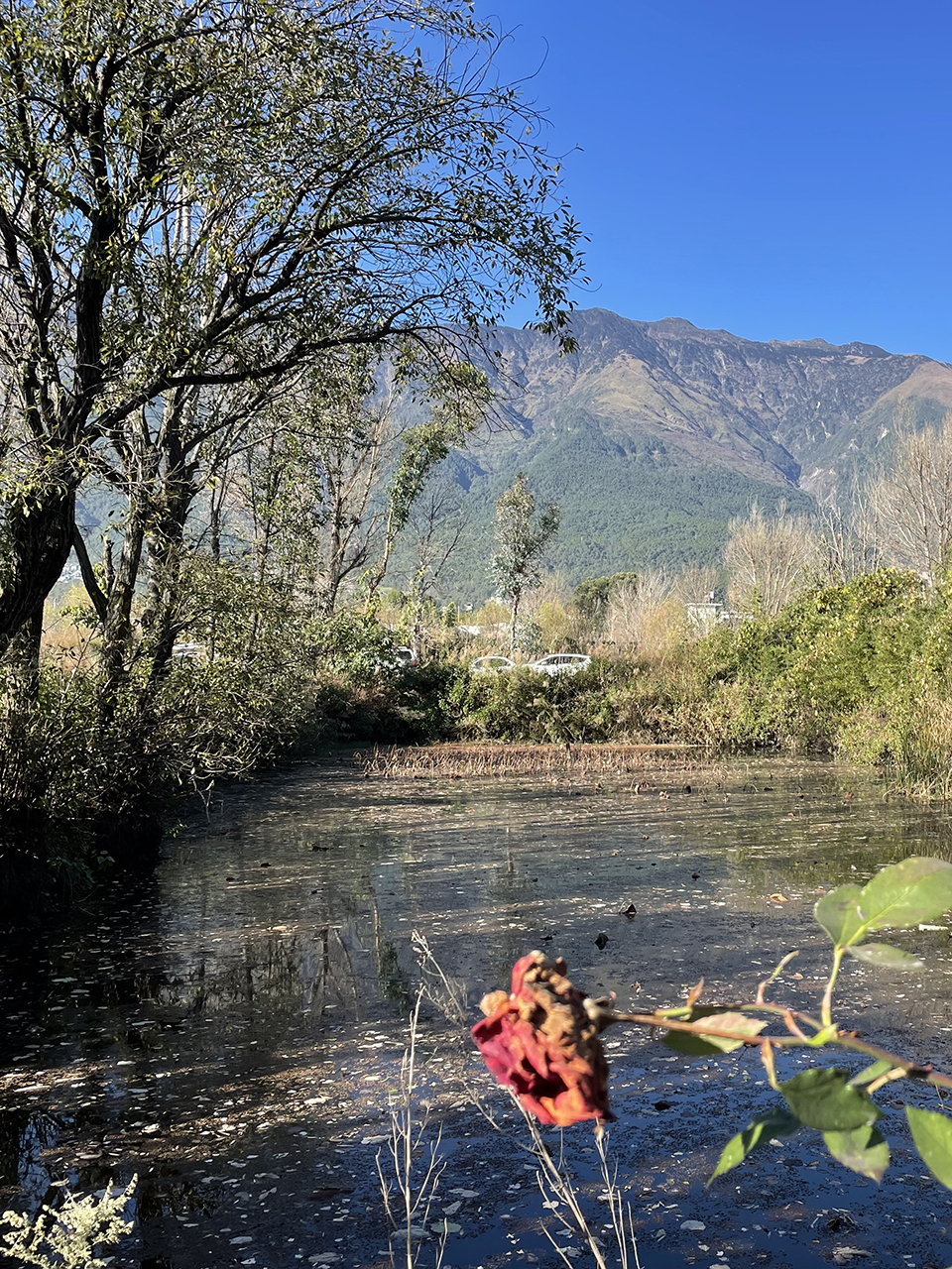 山叁夏庄园酒店与农场之家丨中国大理丨ArCONNECT之间建筑事务所-27