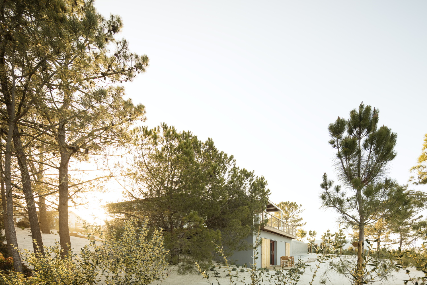 葡萄牙 Comporta 地区 L10 别墅 | 自然与建筑的和谐共生-33