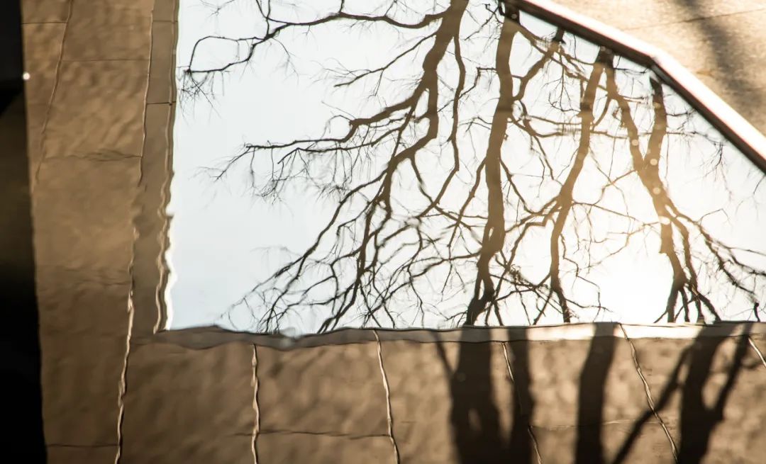 南京水沐云筑 | 自然与现代的共生之美-60