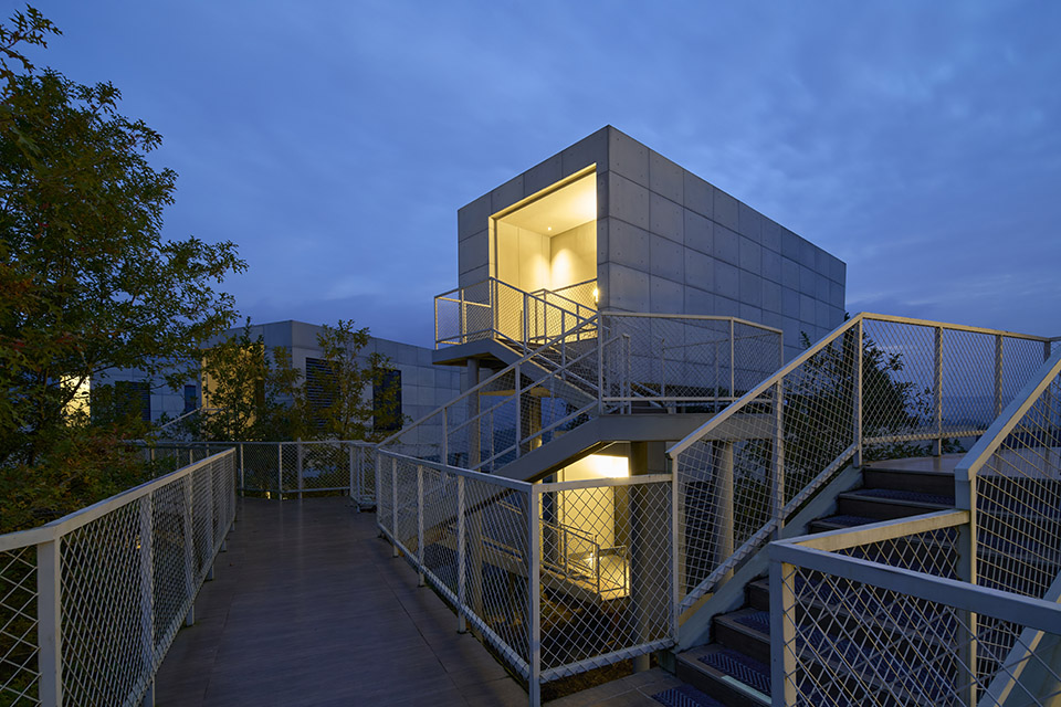 茶海之上,漂浮酒店·遂昌县柘溪上村农旅融合项目丨中国丽水丨中国联合工程有限公司-38