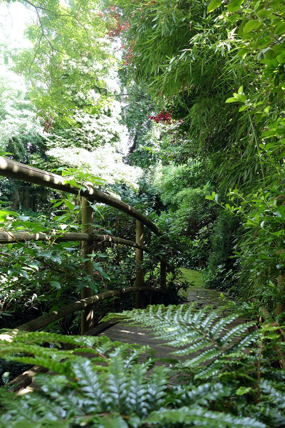 都市绿洲 | 德国杜塞尔多夫城市花园-5