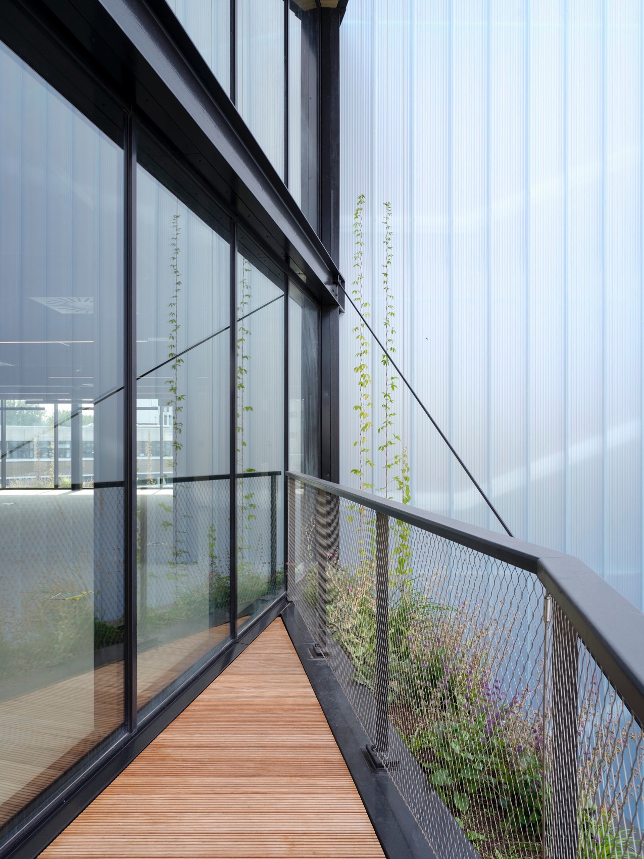 口香糖工厂生产车间改造丨荷兰阿姆斯特丹丨NEXT architects-13