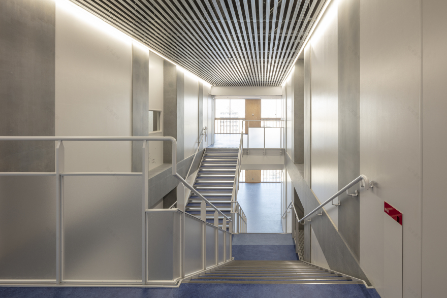 田畑初中丨日本东京丨Coelacanth K&H Architects-41