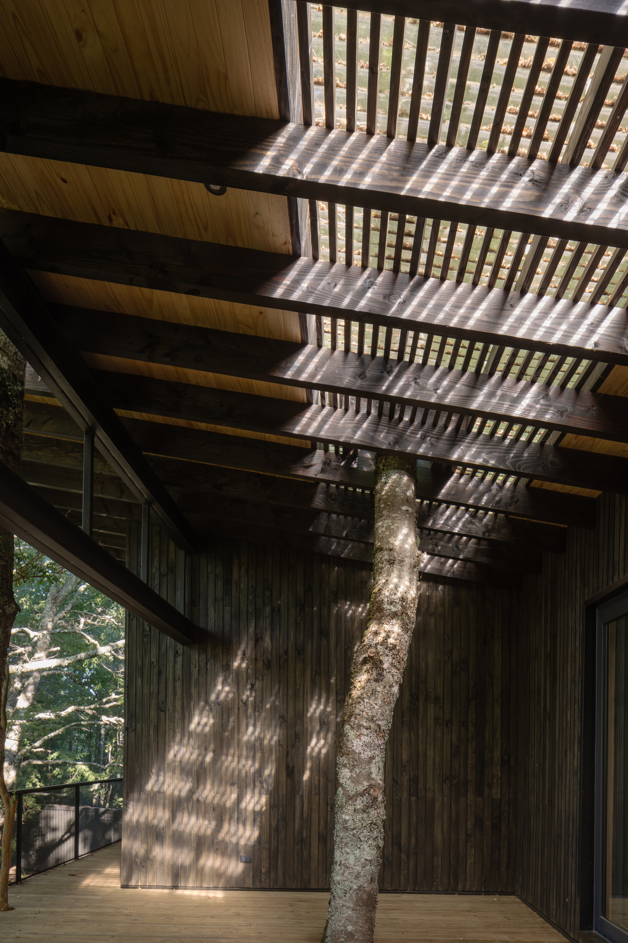 丨智利丨Lucas Maino Fernández-28