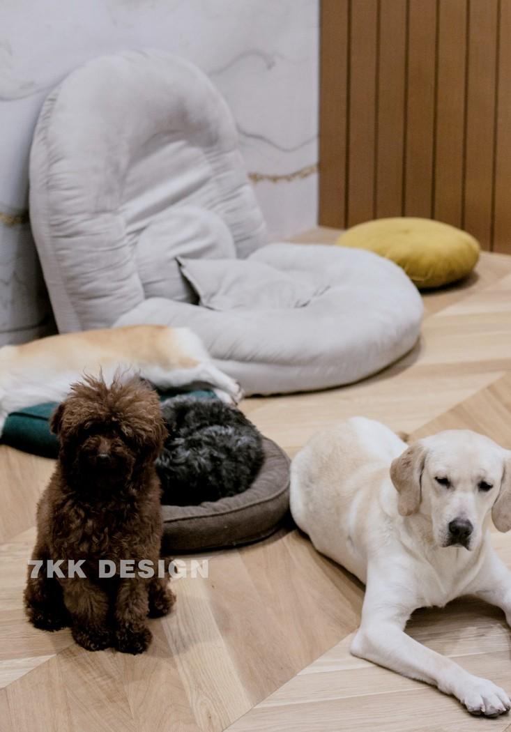 北欧风餐厅设计，温馨简约，金色点缀，打造现代轻奢空间-14