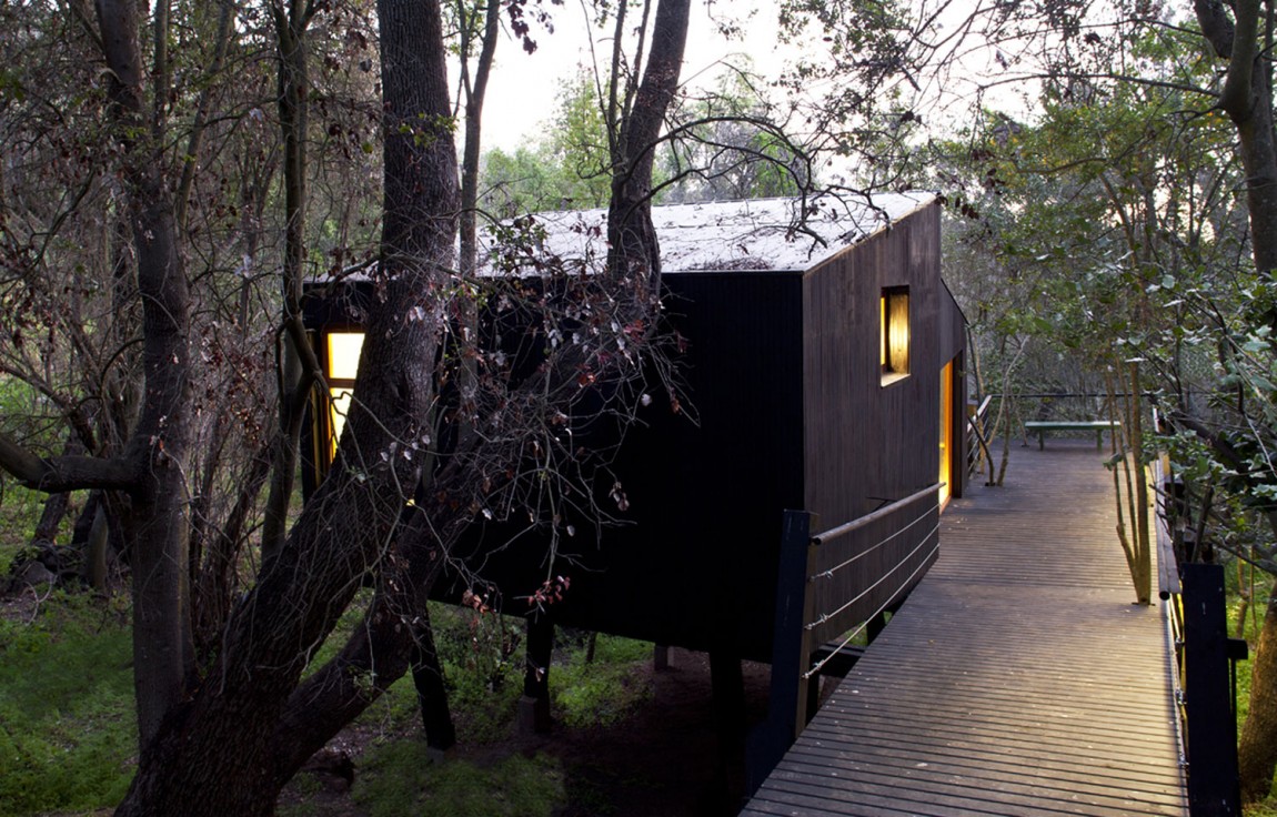 概念性小木屋树屋设计丨智利-10