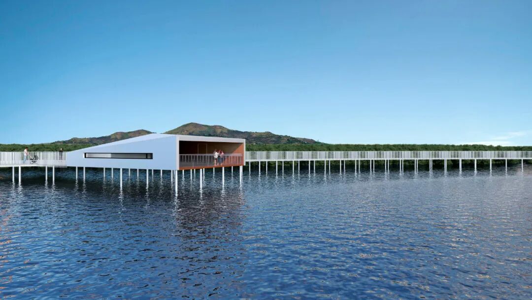 SSAD作品|潮汐之间，一道圆形的回响——沿浦湾红树林生态廊道设计叙事-94