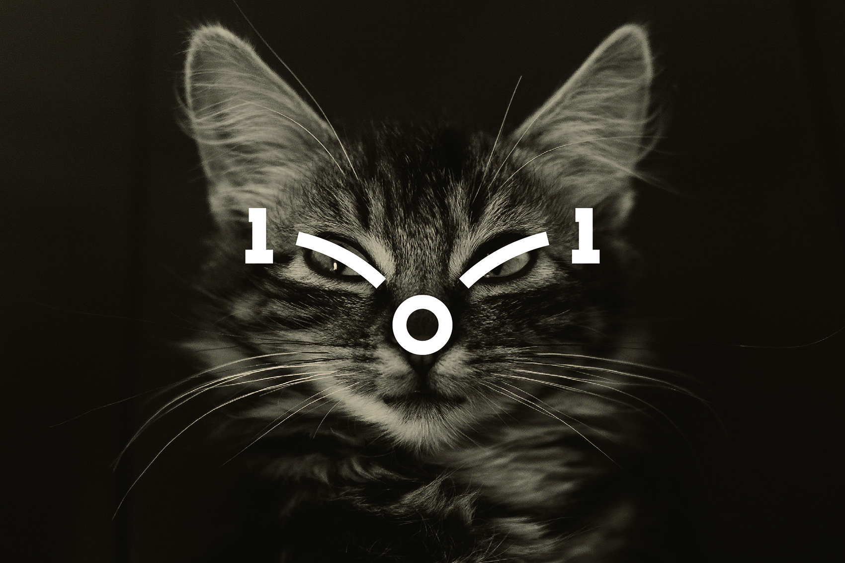 101 宠物丨中国深圳丨Informal异规设计-97