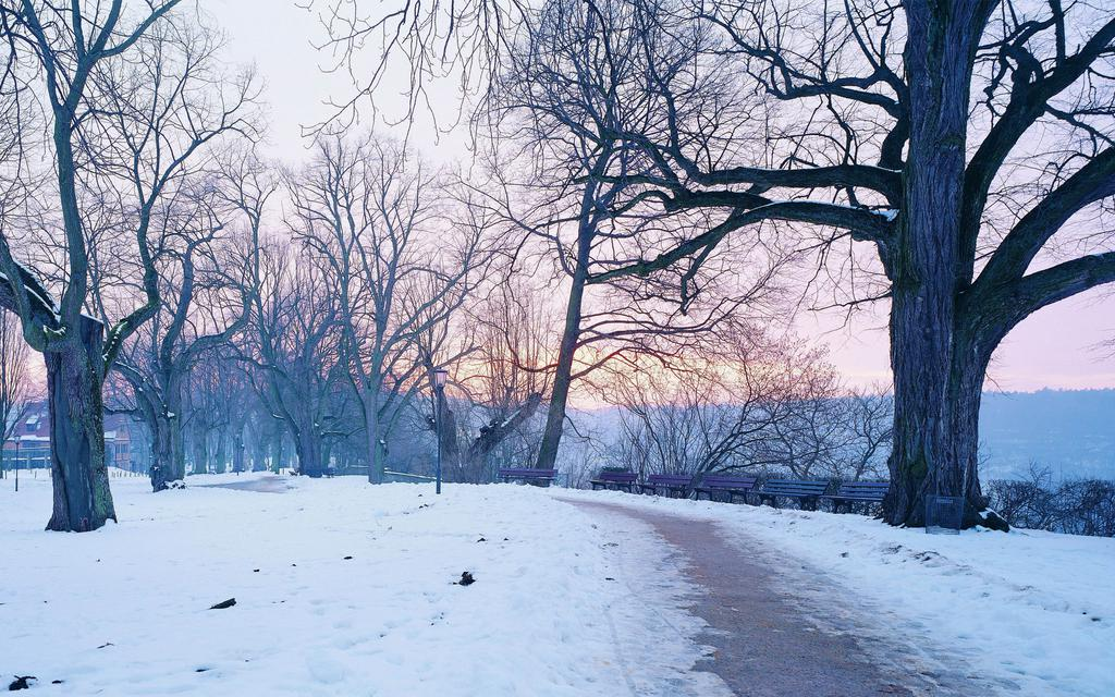 西宁万科城的美好生活场景，城市绿洲为西宁而定制 | 西宁·万科城一期-156