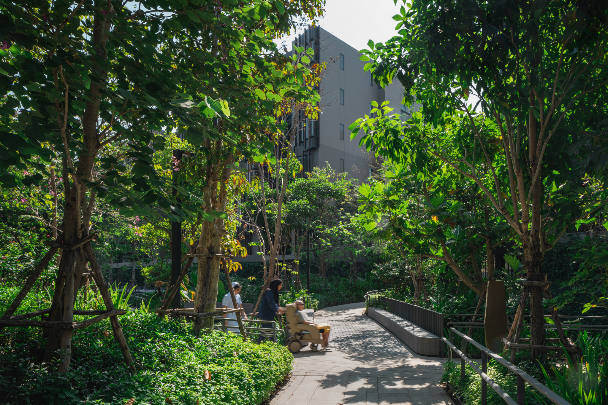 泰国金福林生活综合体-46