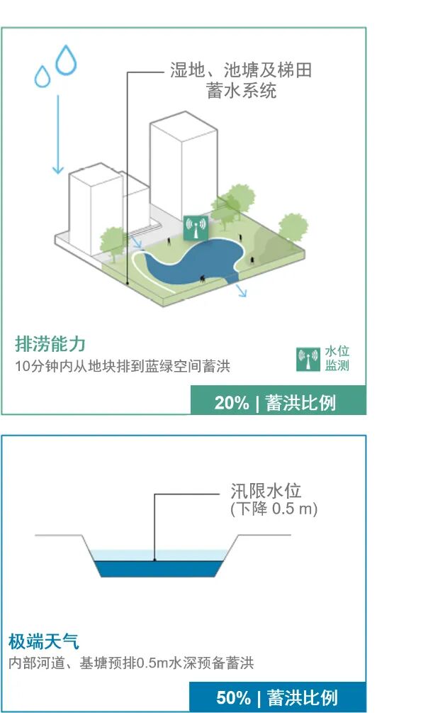 顺德鹭鸟湿地片区景观规划丨中国佛山丨AECOM-62