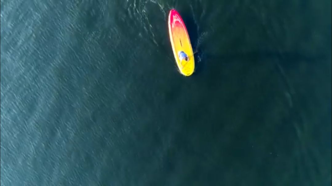 无尽景观住宅 | 时境参与的德国别墅集群设计-20