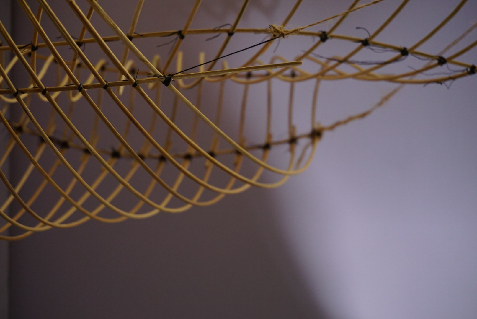 Bamboo Expo Competition 2025-5