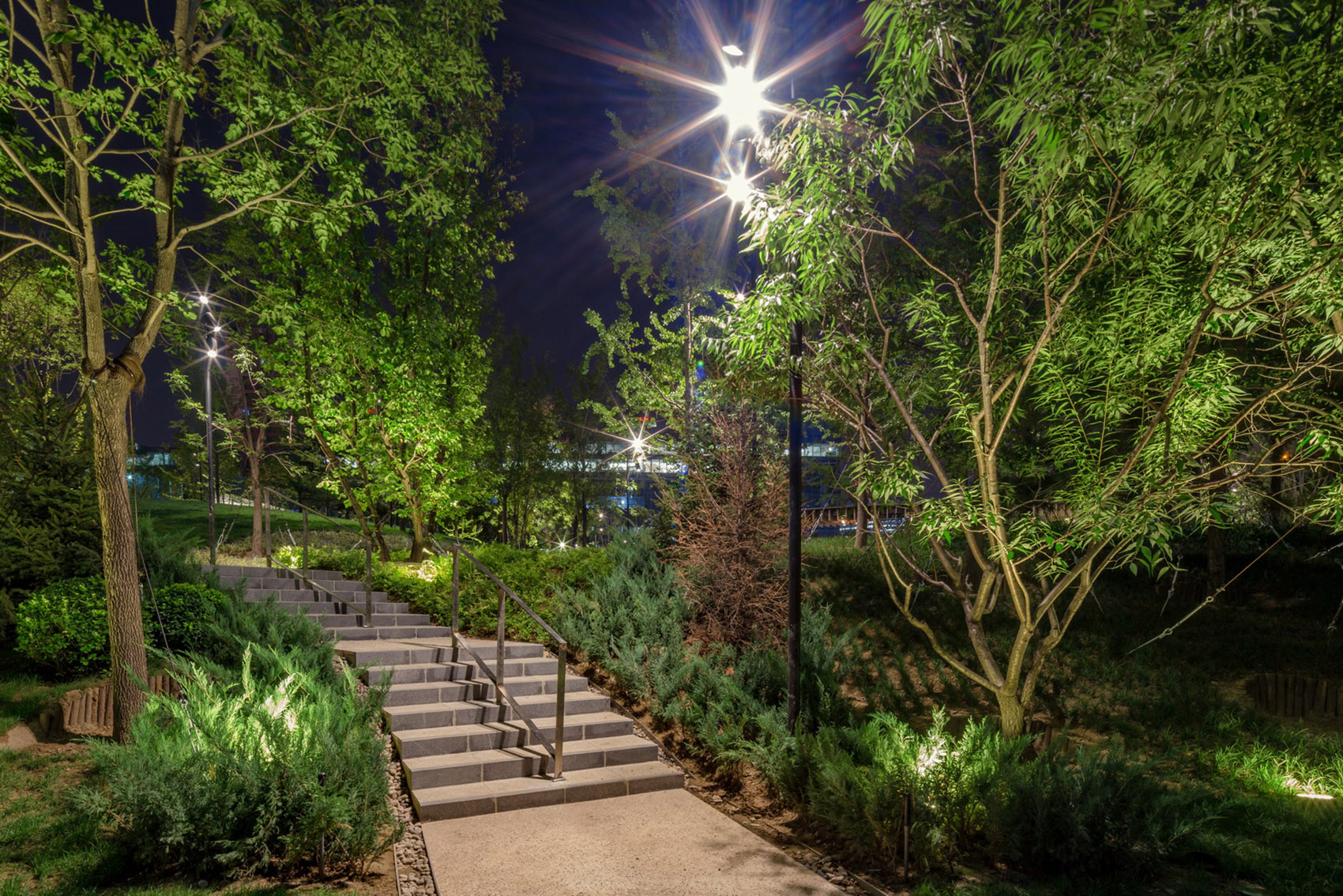 合院中的绿林·利星行中心（北京）景观设计丨中国北京-53