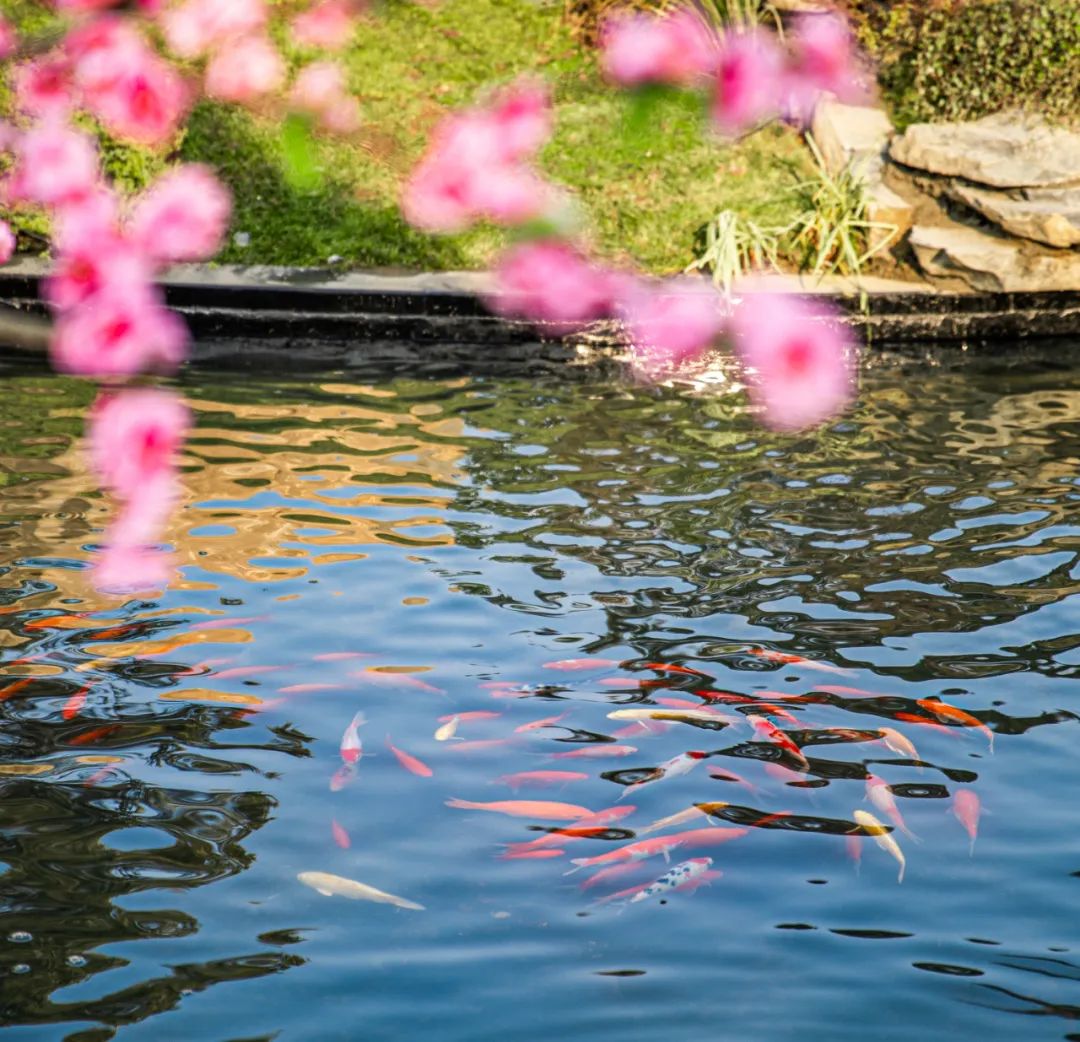 蜀韵新颜——四川领地·观江府景观设计解析-114