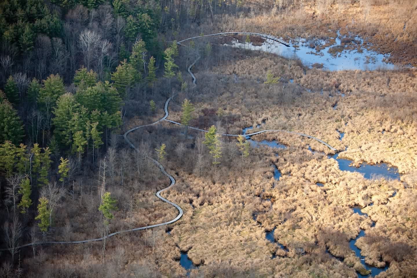 半英里生态景观人行道丨景观设计师-12