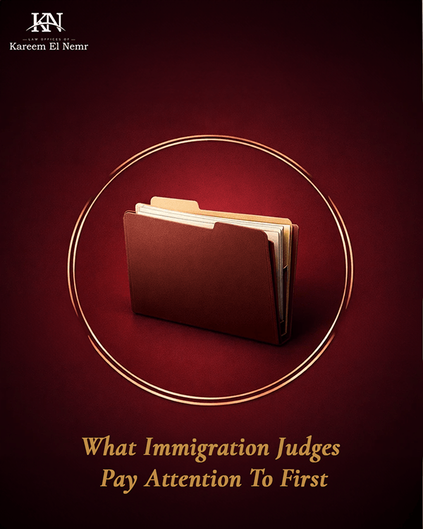 Immigration Law Branding & Content Design-11