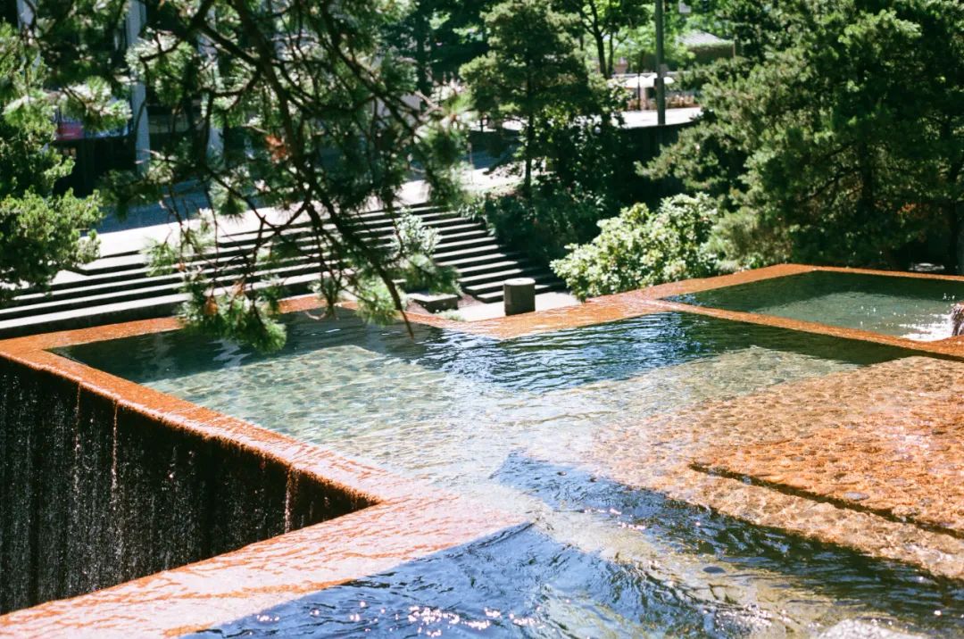 富兰克林·德拉诺·罗斯福纪念堂丨美国华盛顿丨劳伦斯·哈普林-39