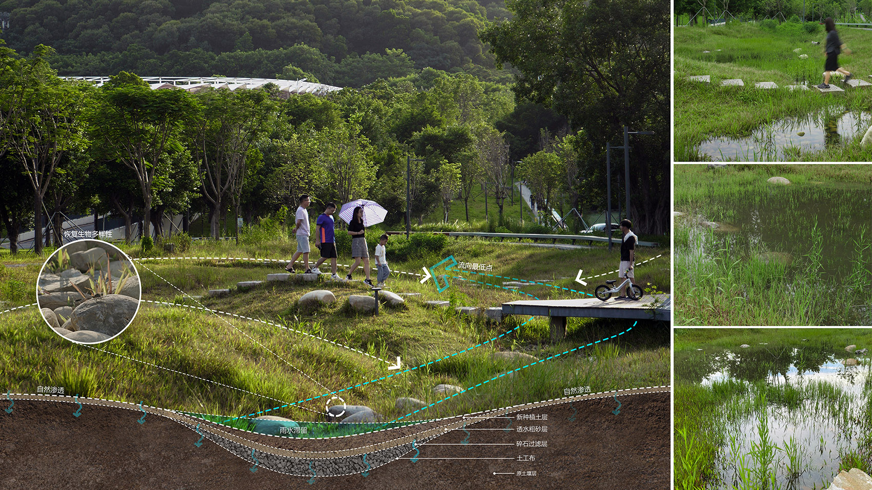 重焕生机的土地·深圳光明虹桥1958生态公园丨中国深圳丨自组空间-45