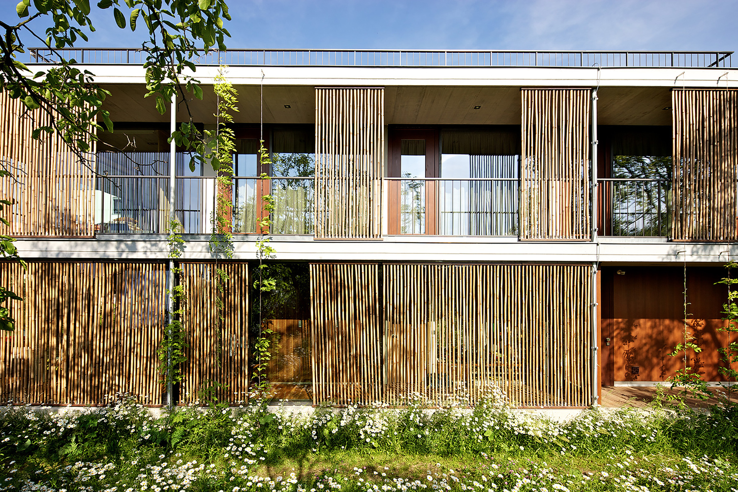 捷克布尔诺竹子别墅丨Atelier Stepan-18