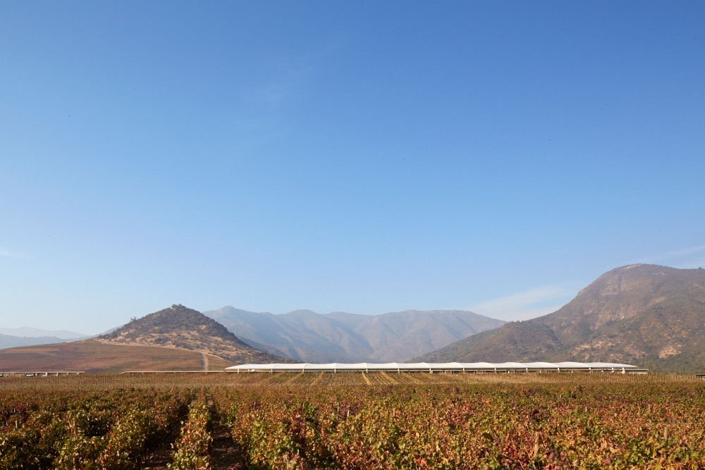 Blue Run Spirits 威士忌酒厂总部丨美国丨BIG-79