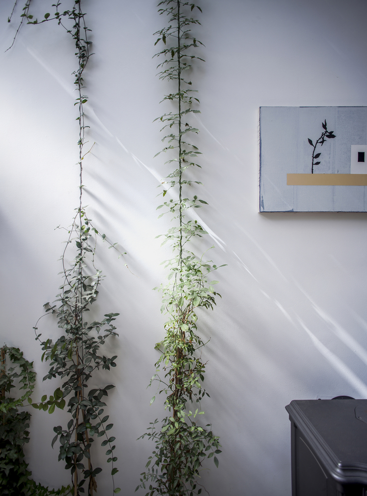 特拉维夫螺旋小屋-61