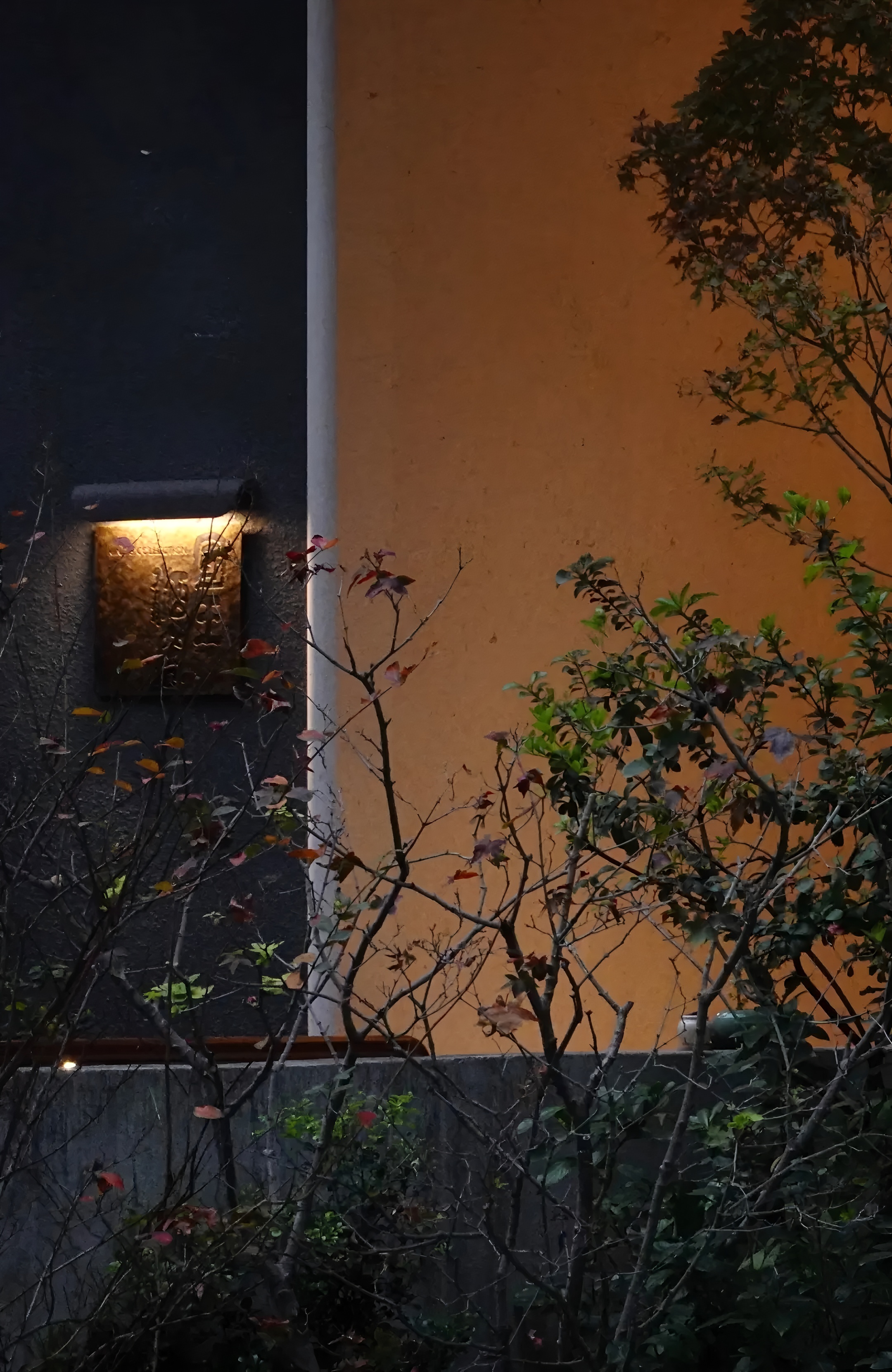 深圳茅台鉴藏馆丨中国深圳丨BLOOMDESIGN绽放设计-26