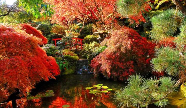 世界上最大的私家花园，迄今已有116年历史！-61