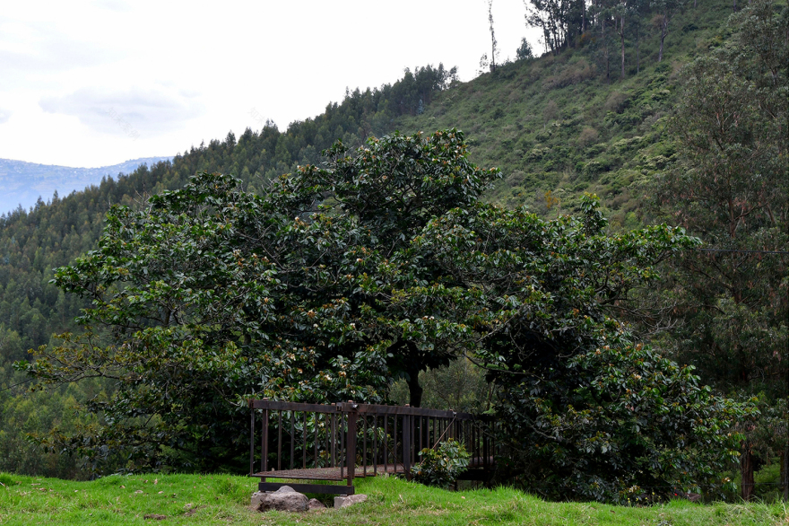 伊拉洛山中的天堂-18
