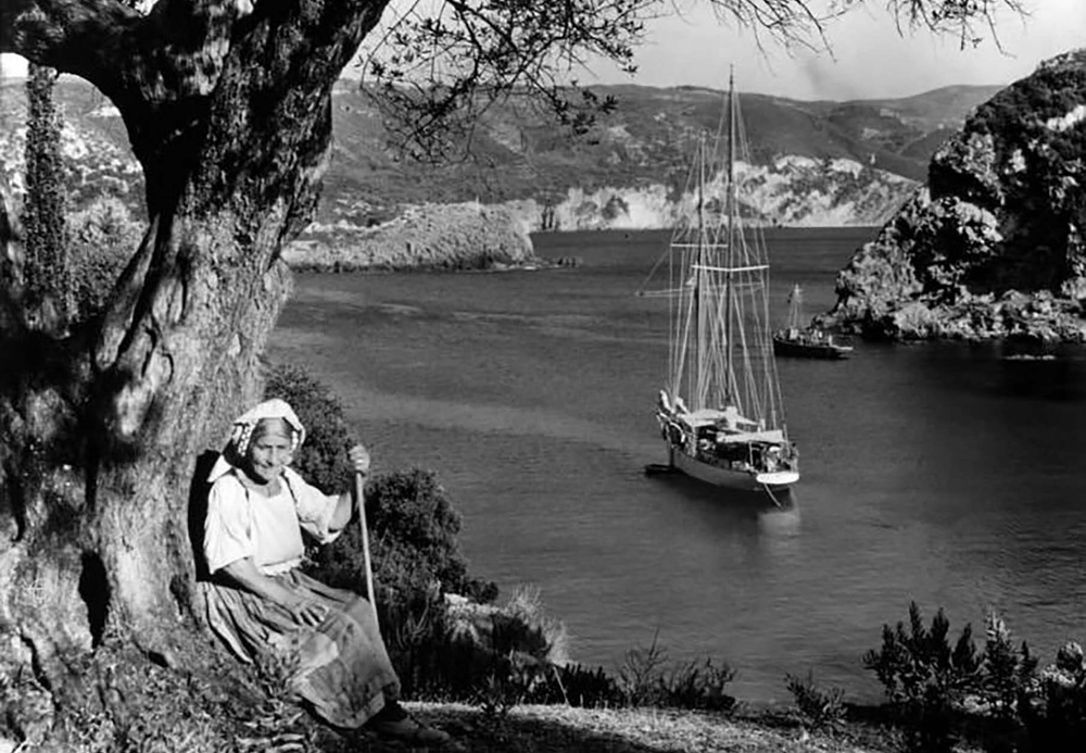 Alipa Hill  Corfu度假“野奢露营”花园景观设计丨希腊丨Inside Outside-21