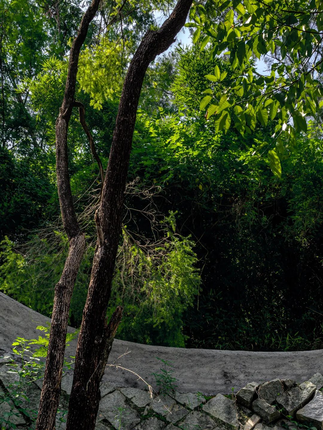 温泉山居民宿丨中国厦门丨柒构设计-42