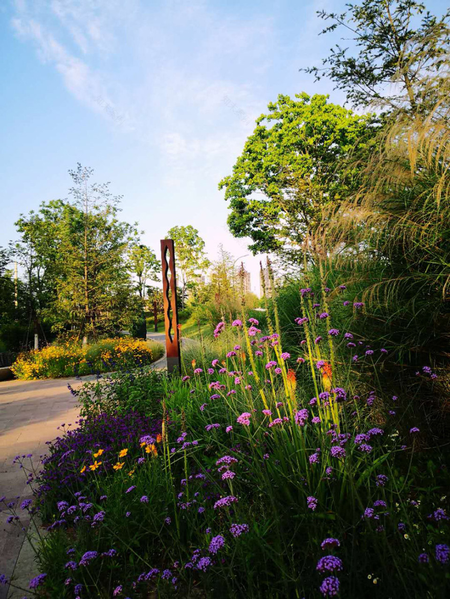 新加坡·南京生态科技岛-29