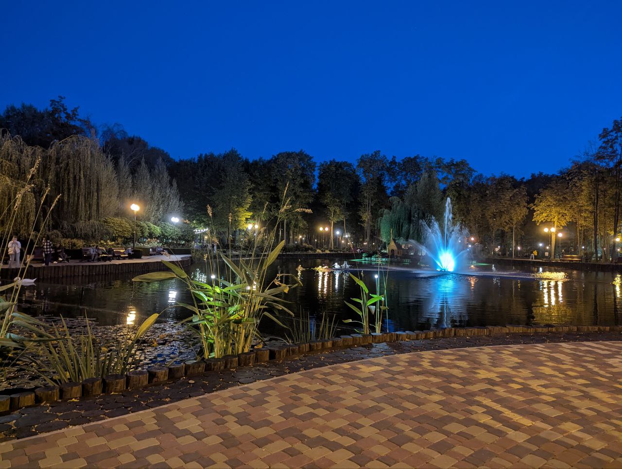 世界上的树木丨Sylvie D.-197