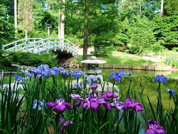 HOTEL INDIGO DURHAM RTP-38