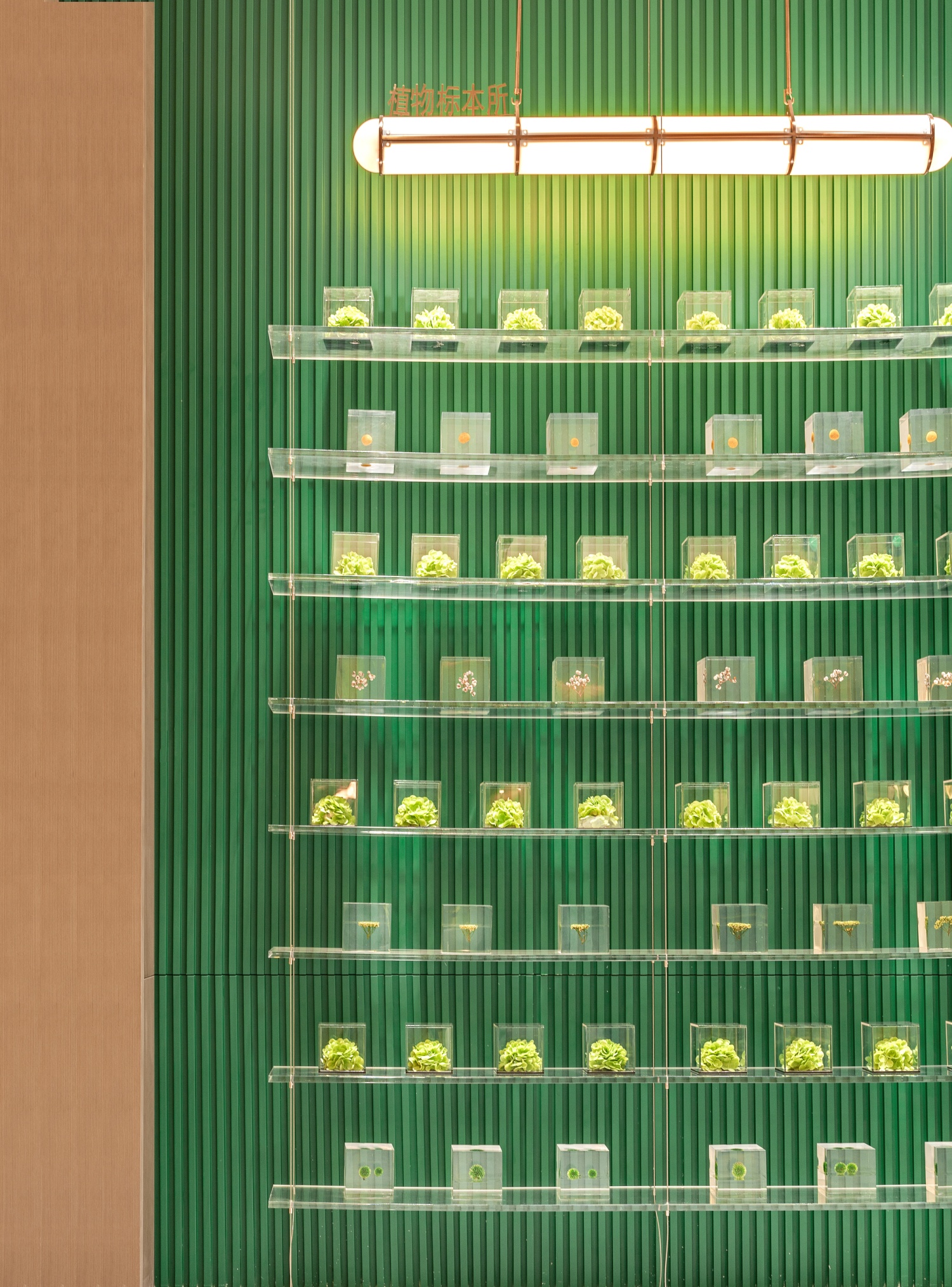 “花海”生活美学艺术馆丨中国盐城丨CHAO 巢羽设计事务所-34