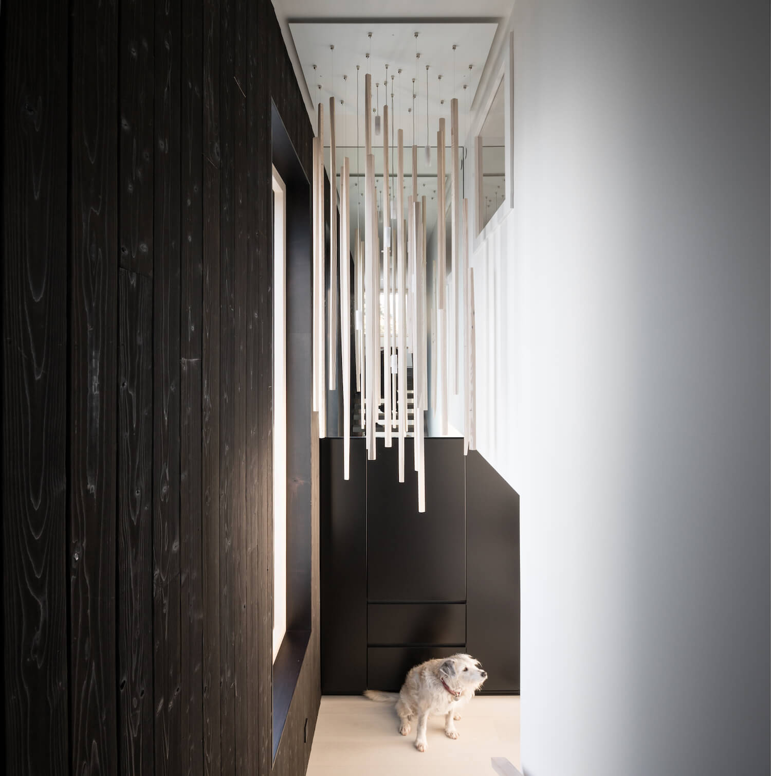 MGA - Michael Green设计 北温哥华被动房扩建项目                     -9