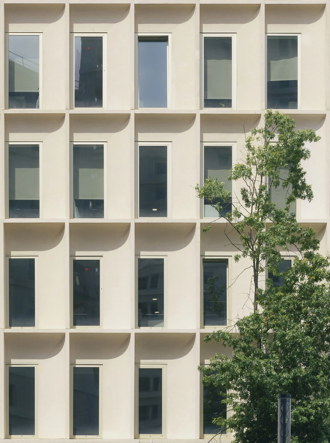 aceted Bordeaux丨法国丨Studioninedots-26