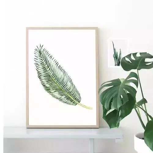 绿色植物装饰画,为家增添自然清新之美-7